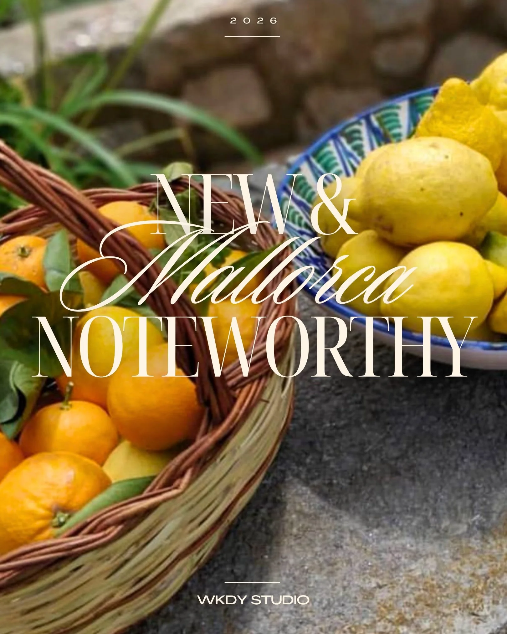 Beautiful new places to discover across Mallorca

🍋🍊🍋🍊🍋🍊🍋🍊🍋🍊

🇪🇸 @cellertonet &bull; Inca
Celebration of Mallorquian food in a charming rustic cellar
From chef @mariasolivellas of @canatoneta
photo: @analuiphotography for @financialtimes
