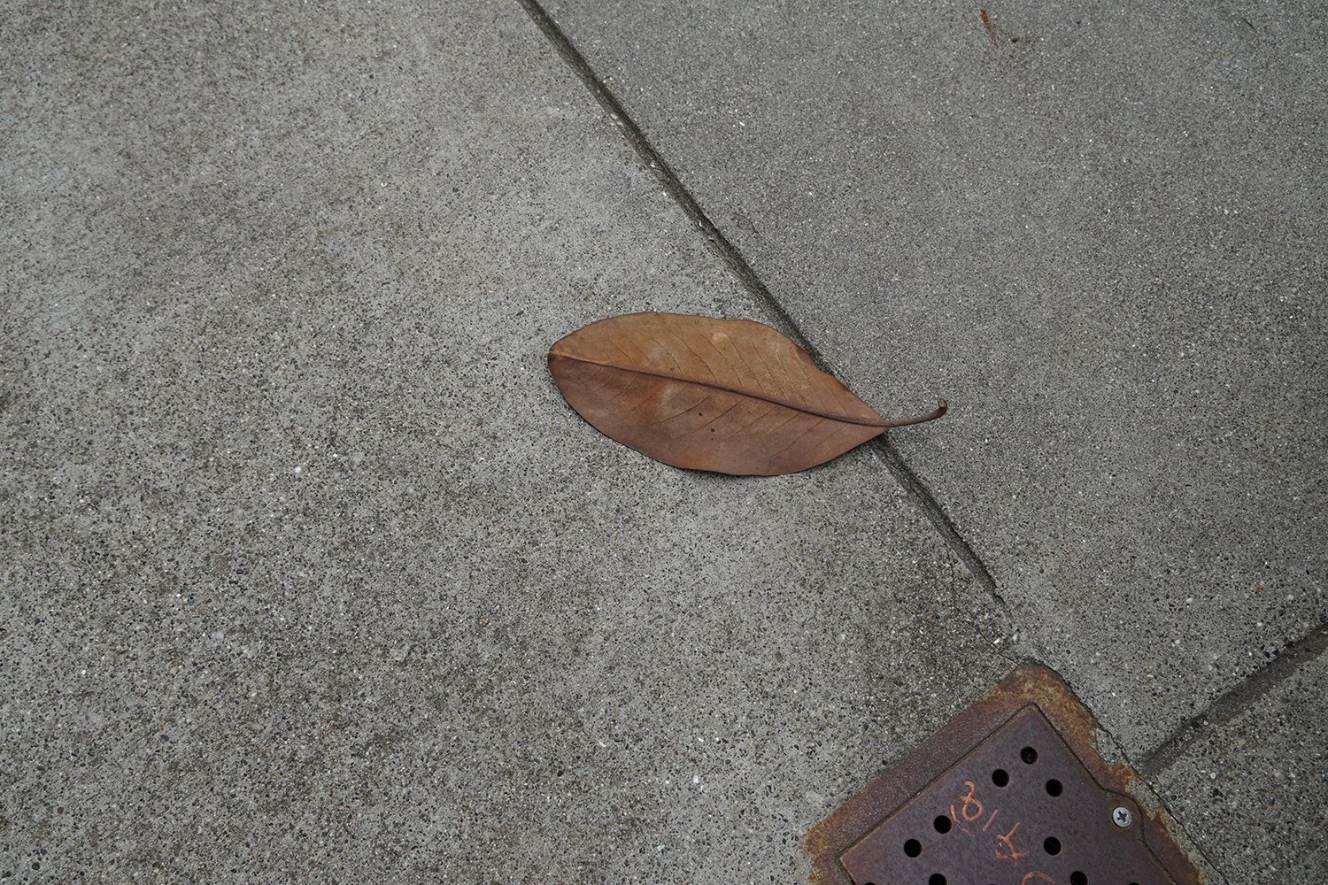 Caitlyn Galloway / San Francisco, U.S.