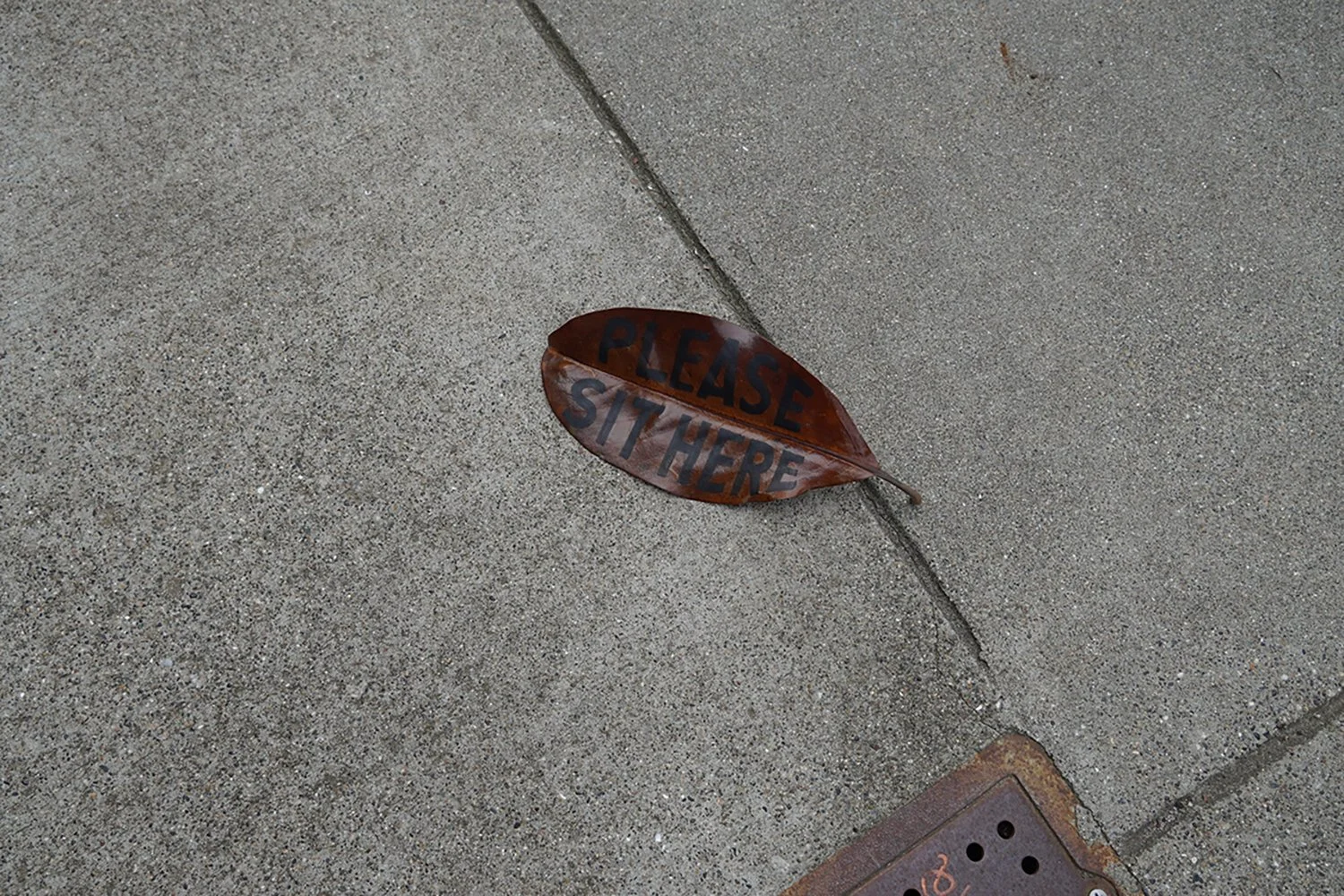 Caitlyn Galloway / San Francisco, U.S.