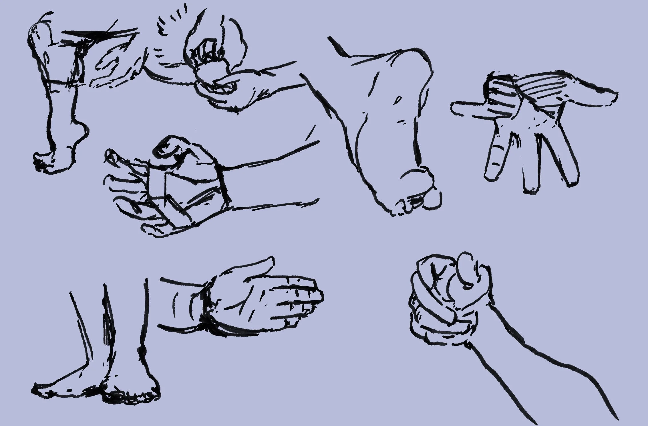 2 Minute Figure Studies