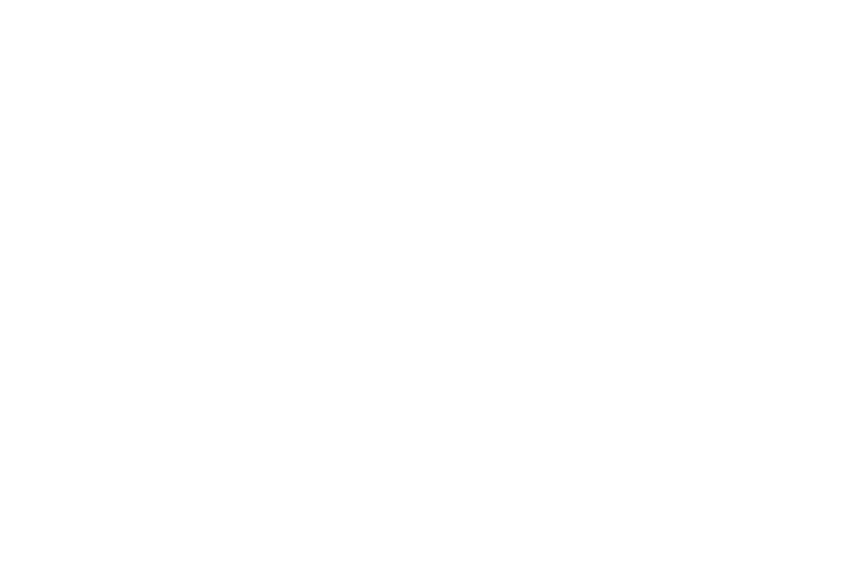 OFFICIAL SELECTION - Cairo International Short Film Festival - 2023.png