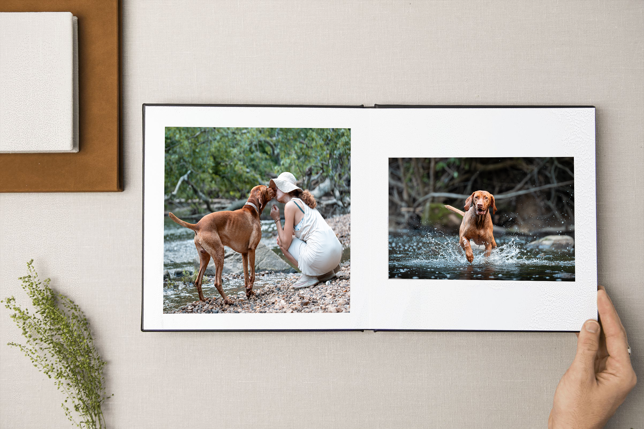 Professionally print dog portrait album