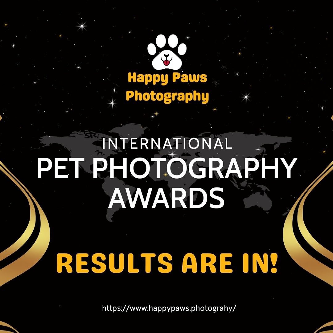 As we close out the busy season and 2024, the timing of the International Pet Photography Awards results could not be better!  It was an incredible experience reading the feedback from the world-renowned instructors who I have been following since I 