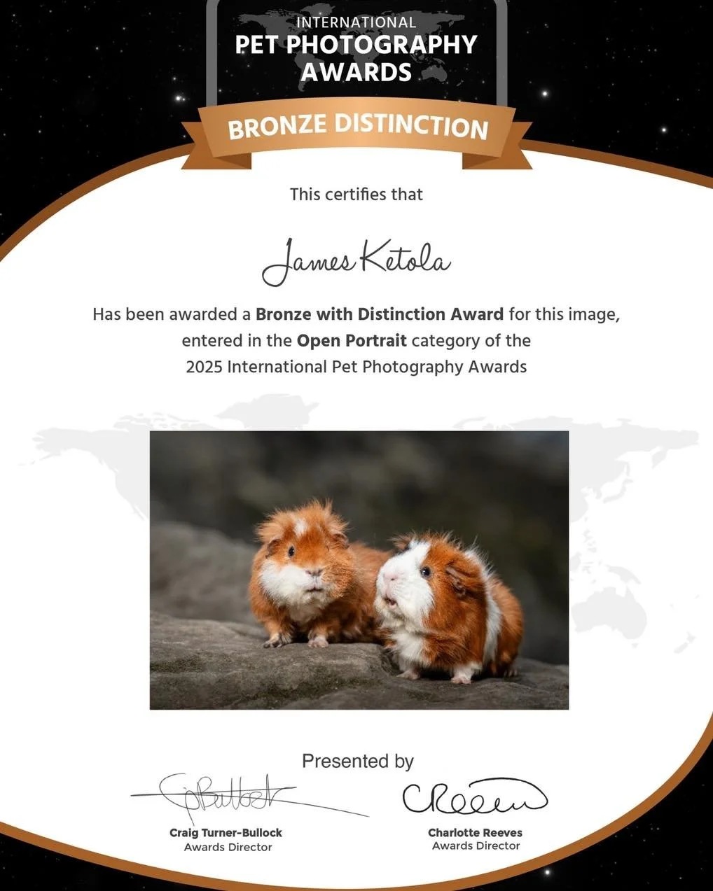 The results for the 2025 International Pet Photography Awards are in! I am honored to be recognized among the most technically proficient and creative pet  photographers globally. Four of my images earned a medal at this showcase of exceptional skill