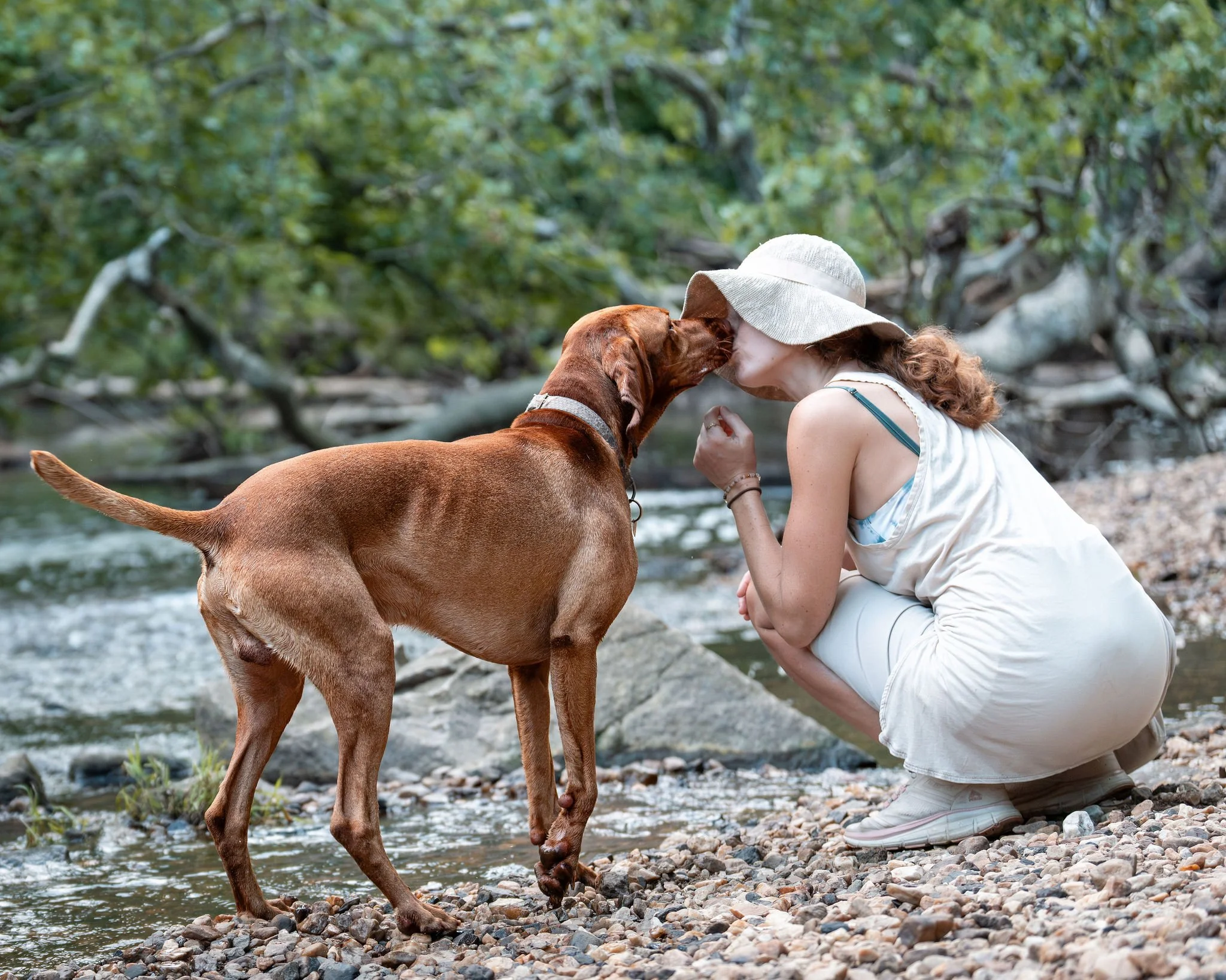 Best age for dog photography