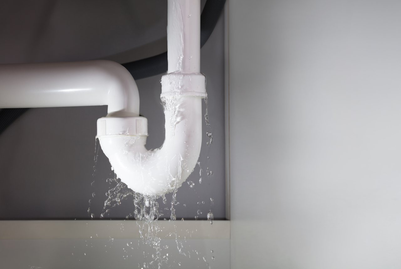Plumbing Leak