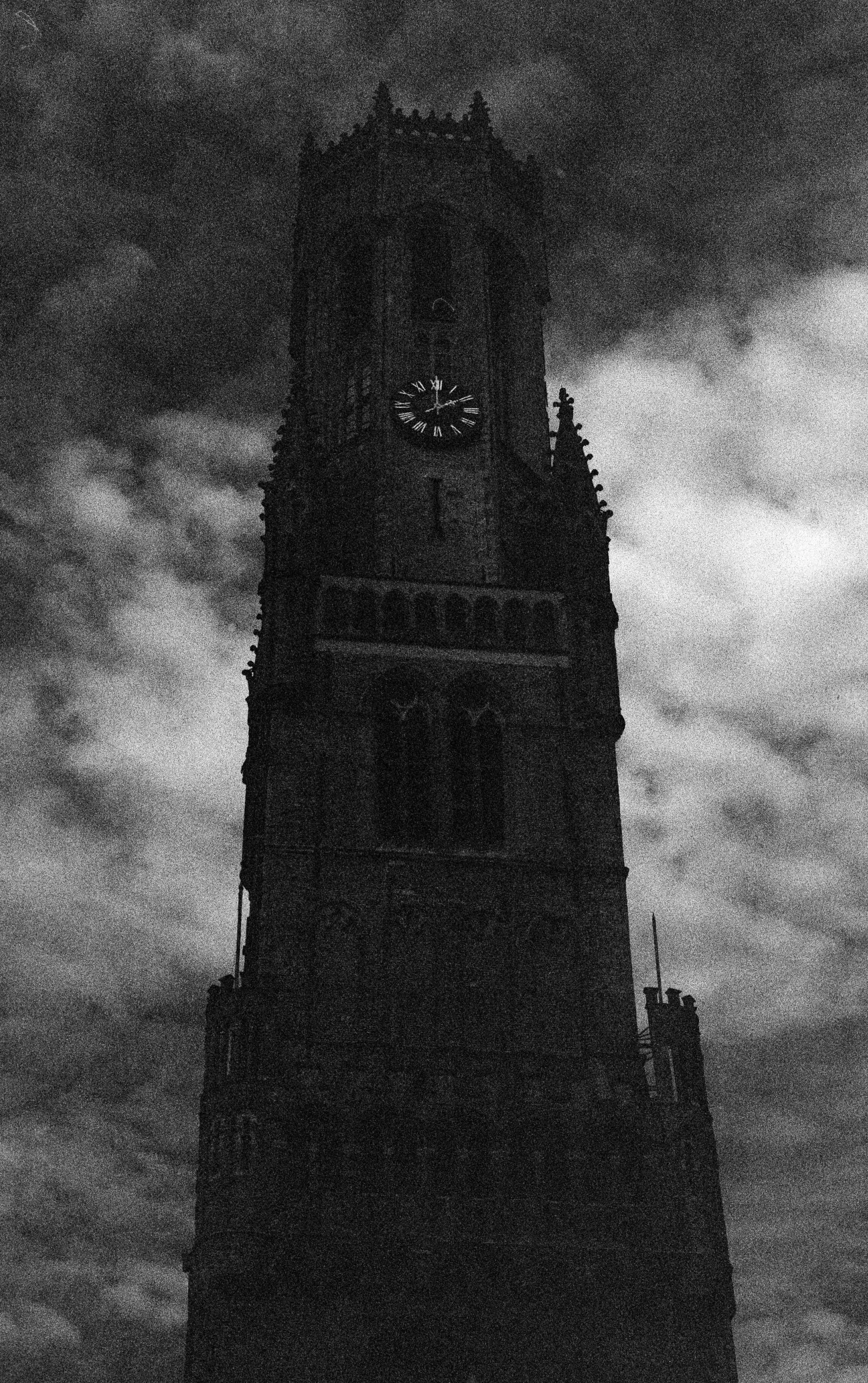 germany2026croppedonly (1).jpg