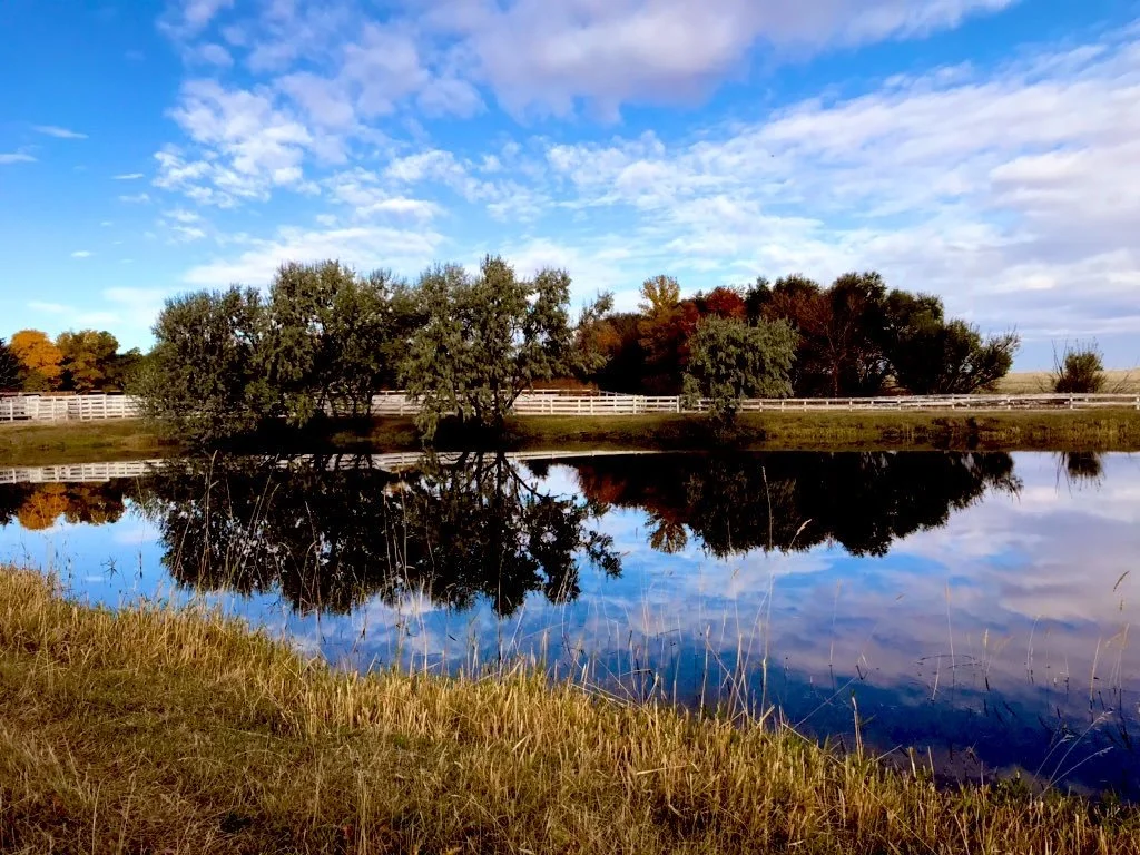landscape of Neubauer Farms