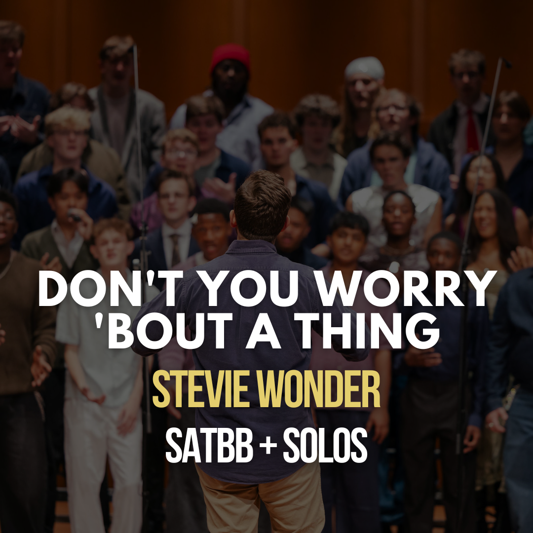 Don't You Worry 'Bout a Thing by Stevie Wonder