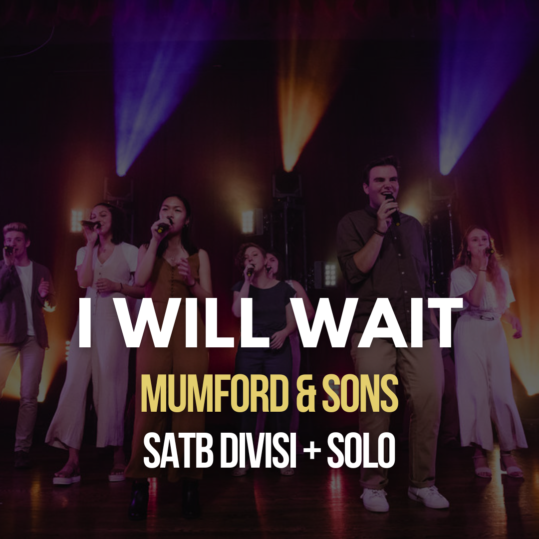 I Will Wait by Mumford & Sons