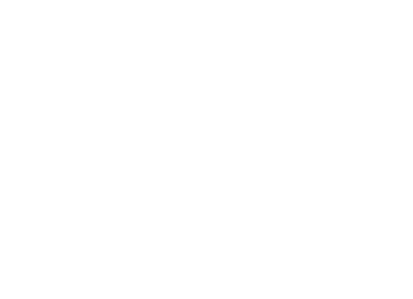 Alena Nickolenko's Portfolio