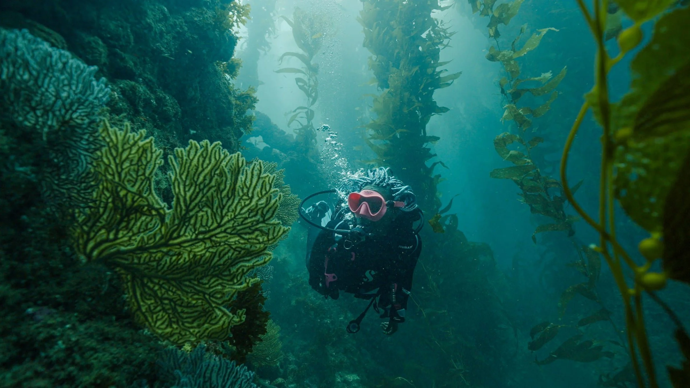 Gabby Shepard Wants Everyone to Care About the World Below the Surface