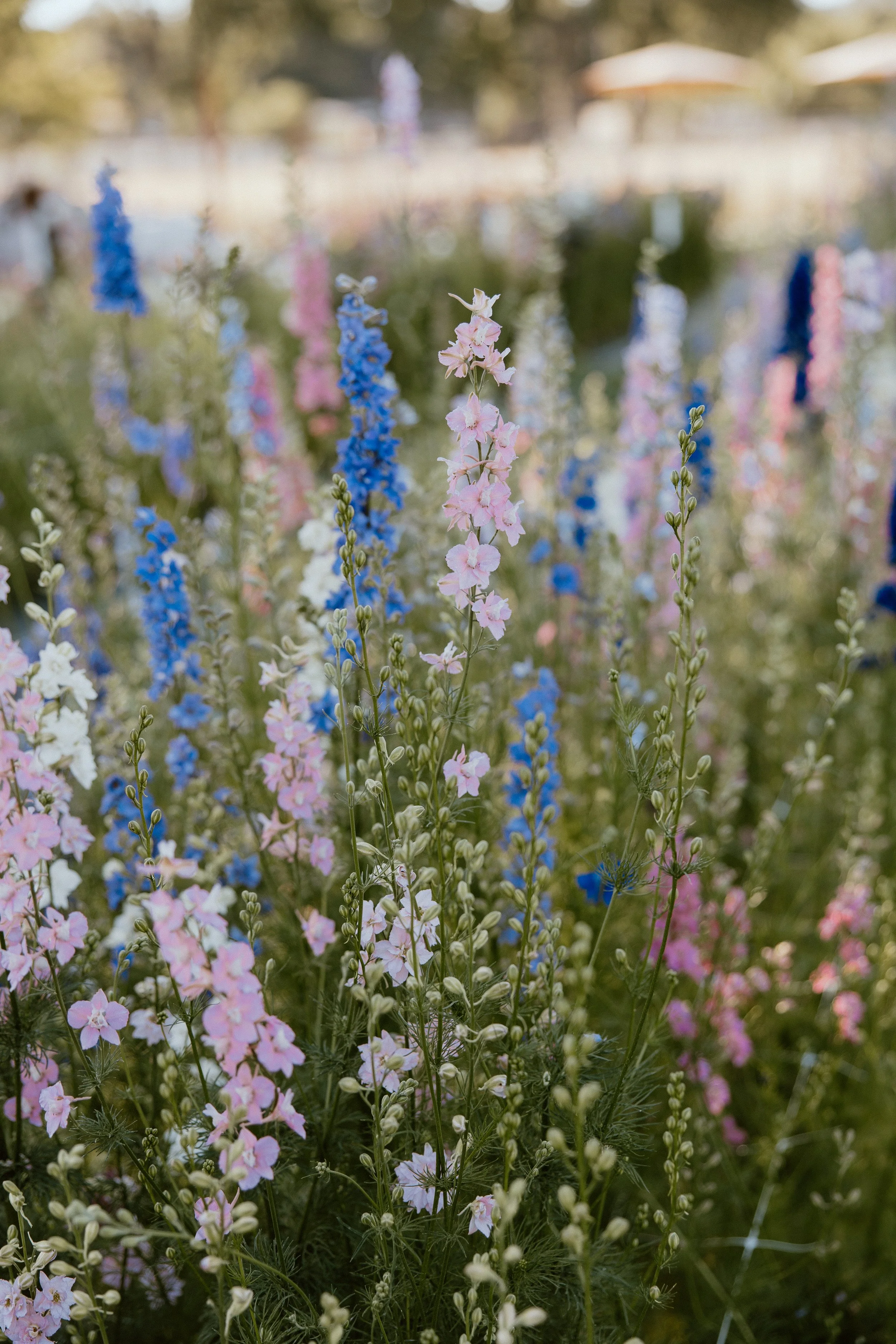 paint and sip-6.jpg