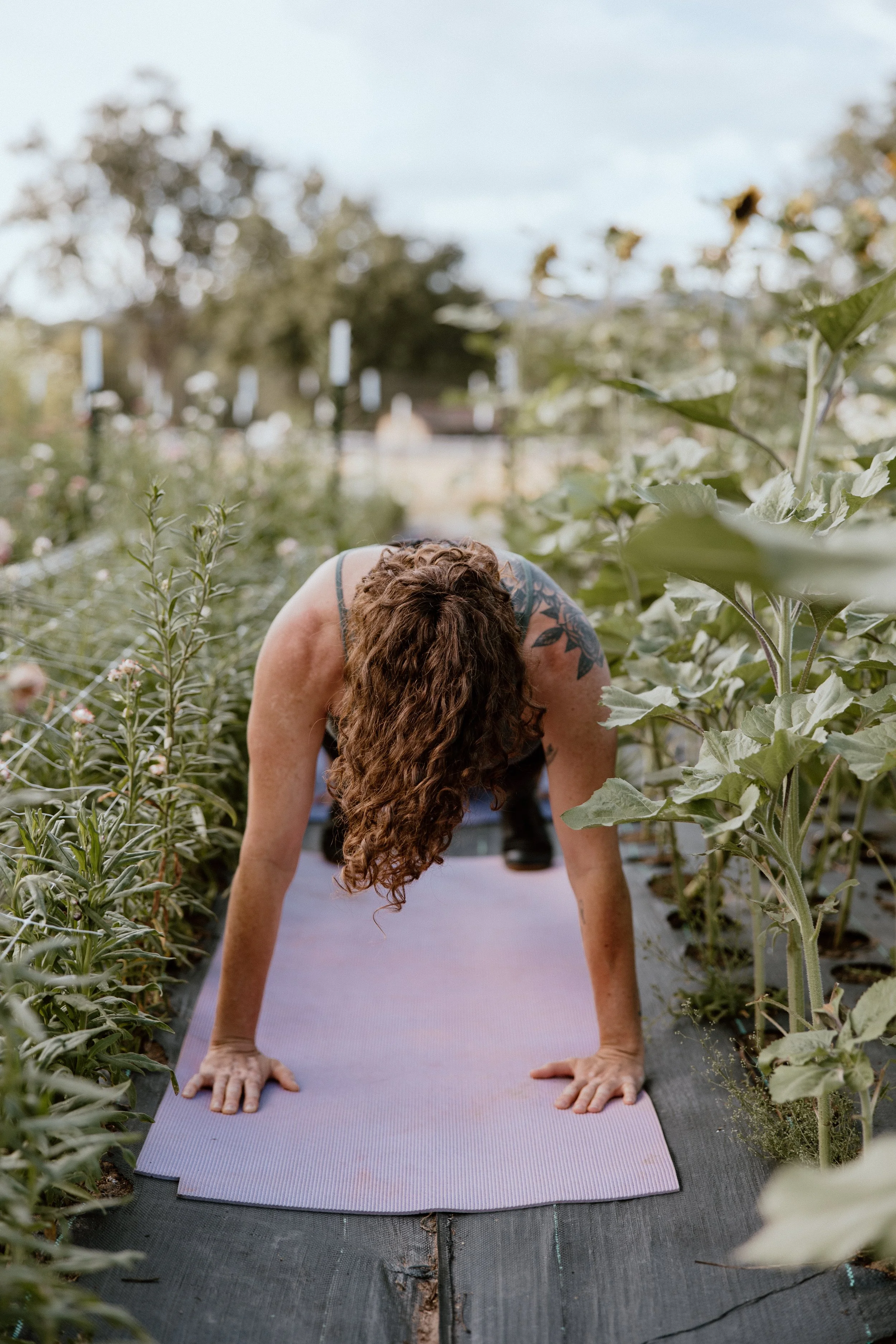 yoga-9.jpg