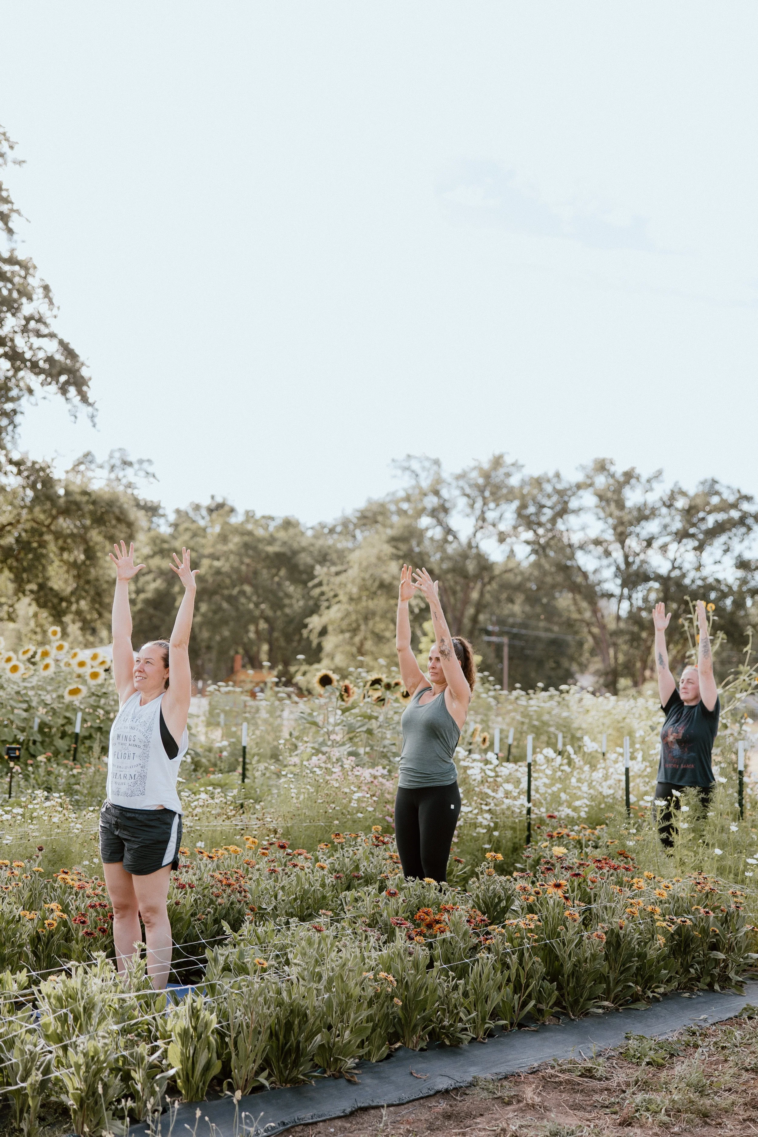 yoga.jpg
