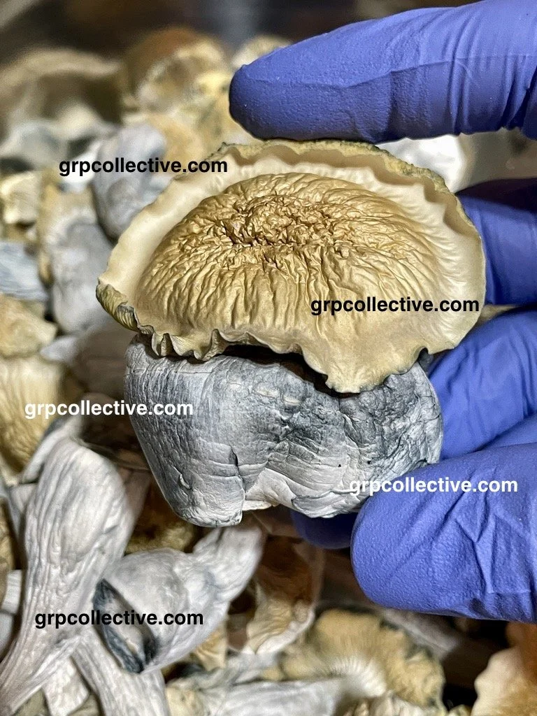 2A71F441-CFB6-4CB4-927F-226821F93AA2_1_105_c.jpeg