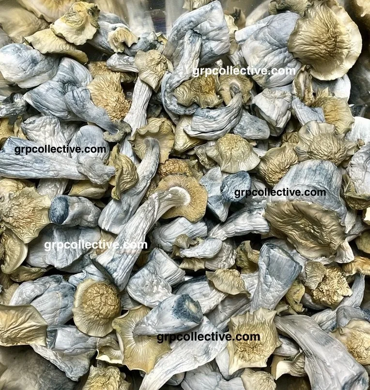 4C7807CA-98BF-4052-AD50-090785F56D2D_1_105_c 2.jpeg