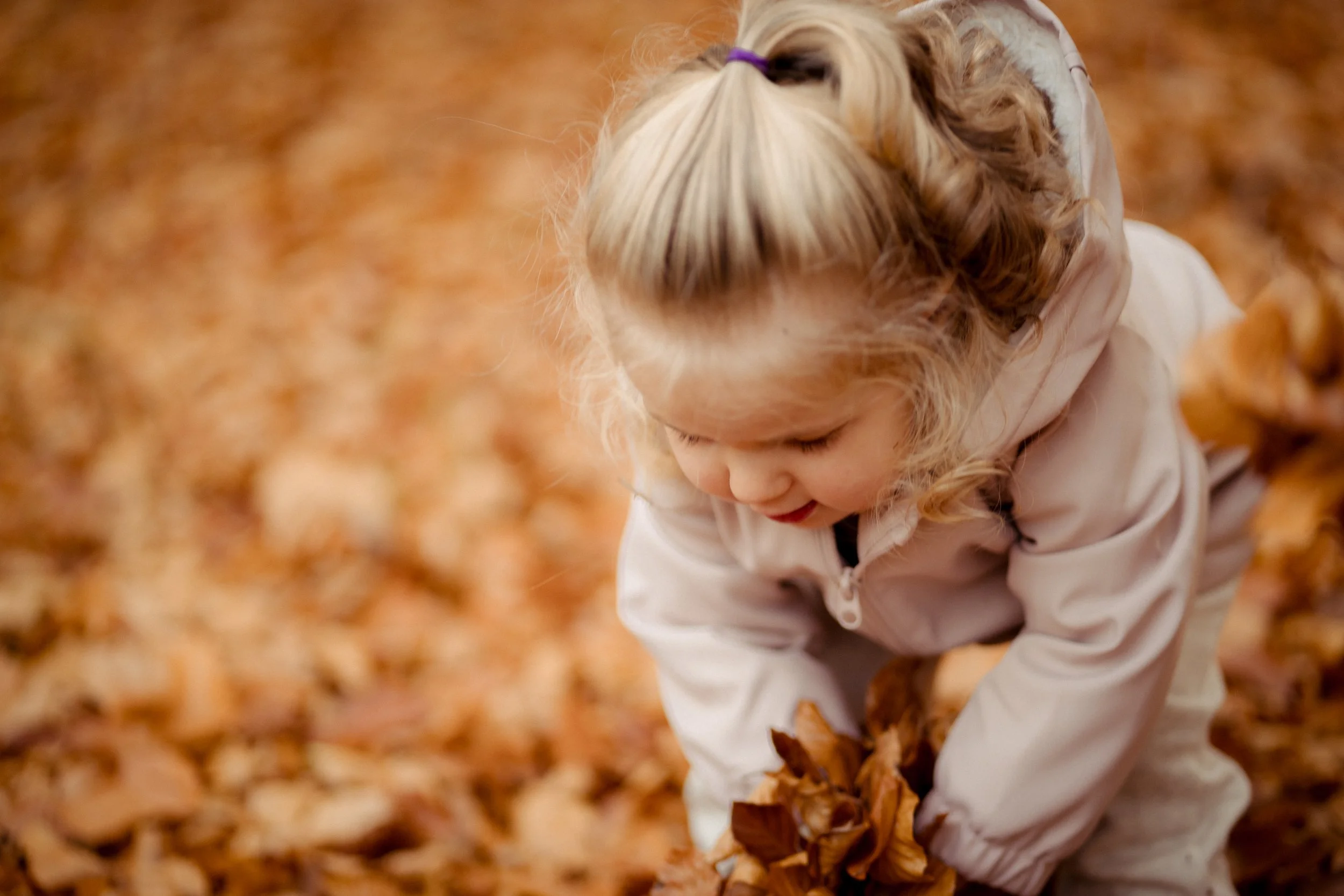 A young girl with curly blonde hair tied back with a purple hairband is playing in a pile of fallen autumn leaves. She is wearing a light-colored jacket and appears to be happy and engaged in the outdoor activity.