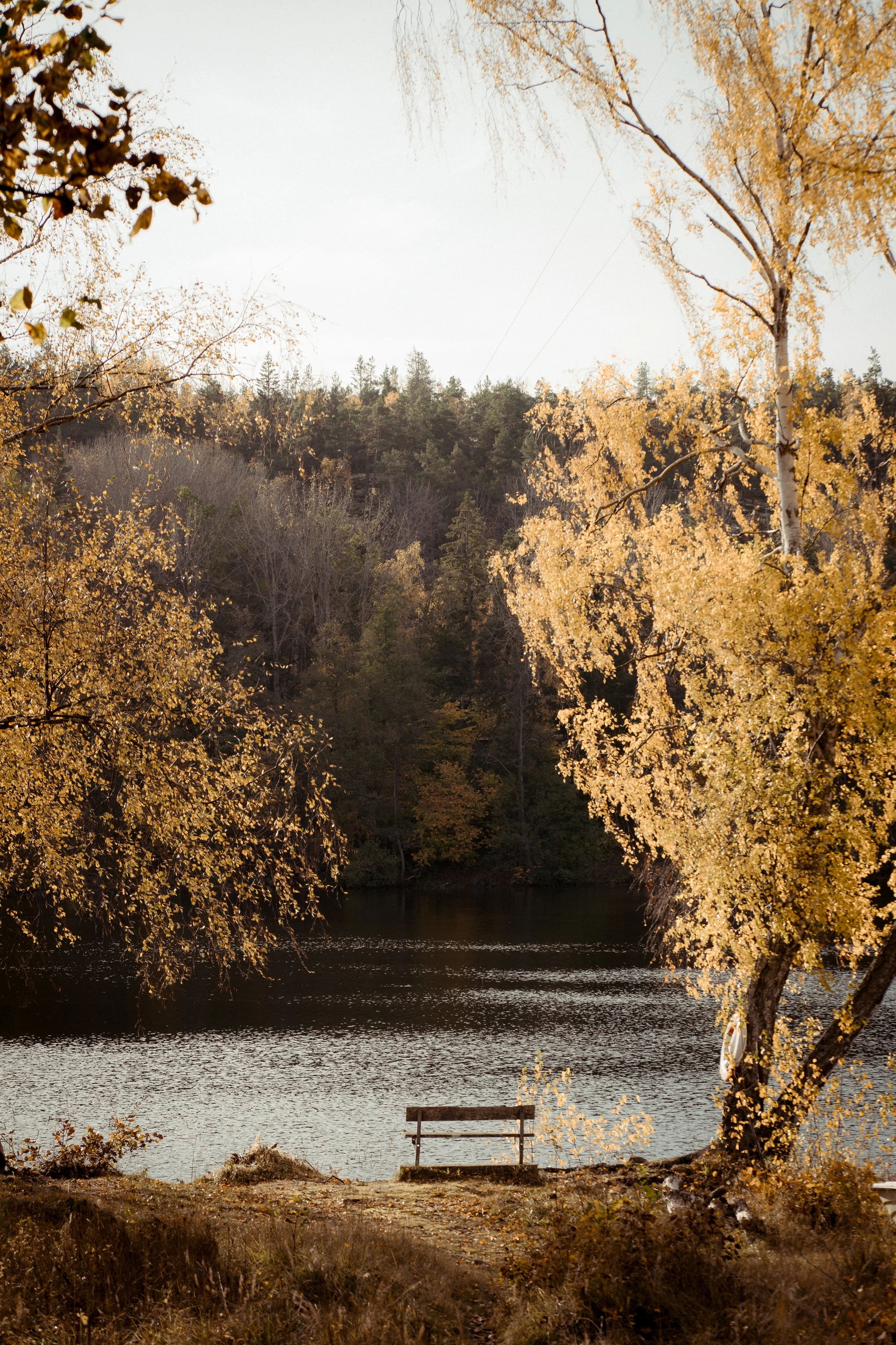 Our Autumn Family Portrait_Nordic Tales Photography 2024-40.jpg
