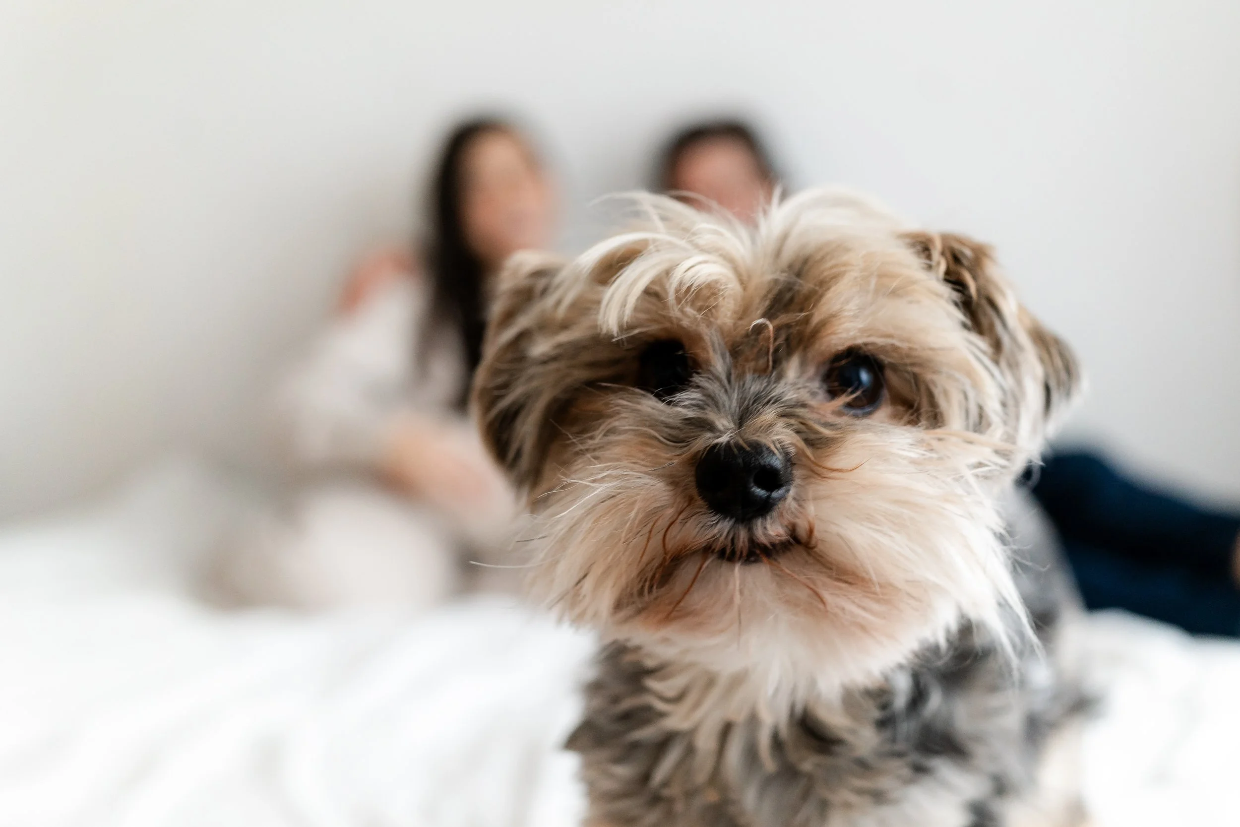 Welcome to the World_Nordic Tales Photography 2025-11.jpg