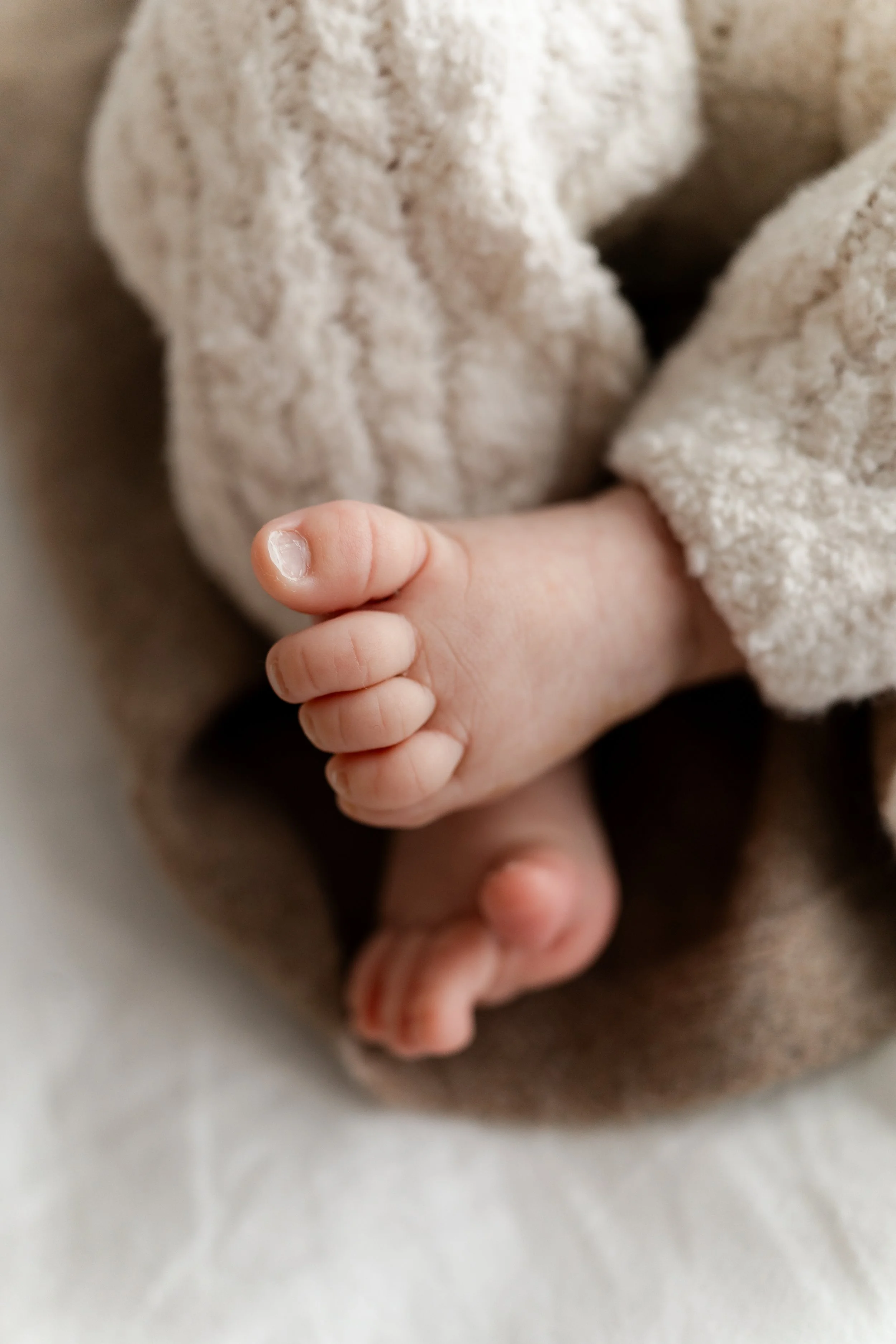 Welcome to the World_Nordic Tales Photography 2025-57.jpg