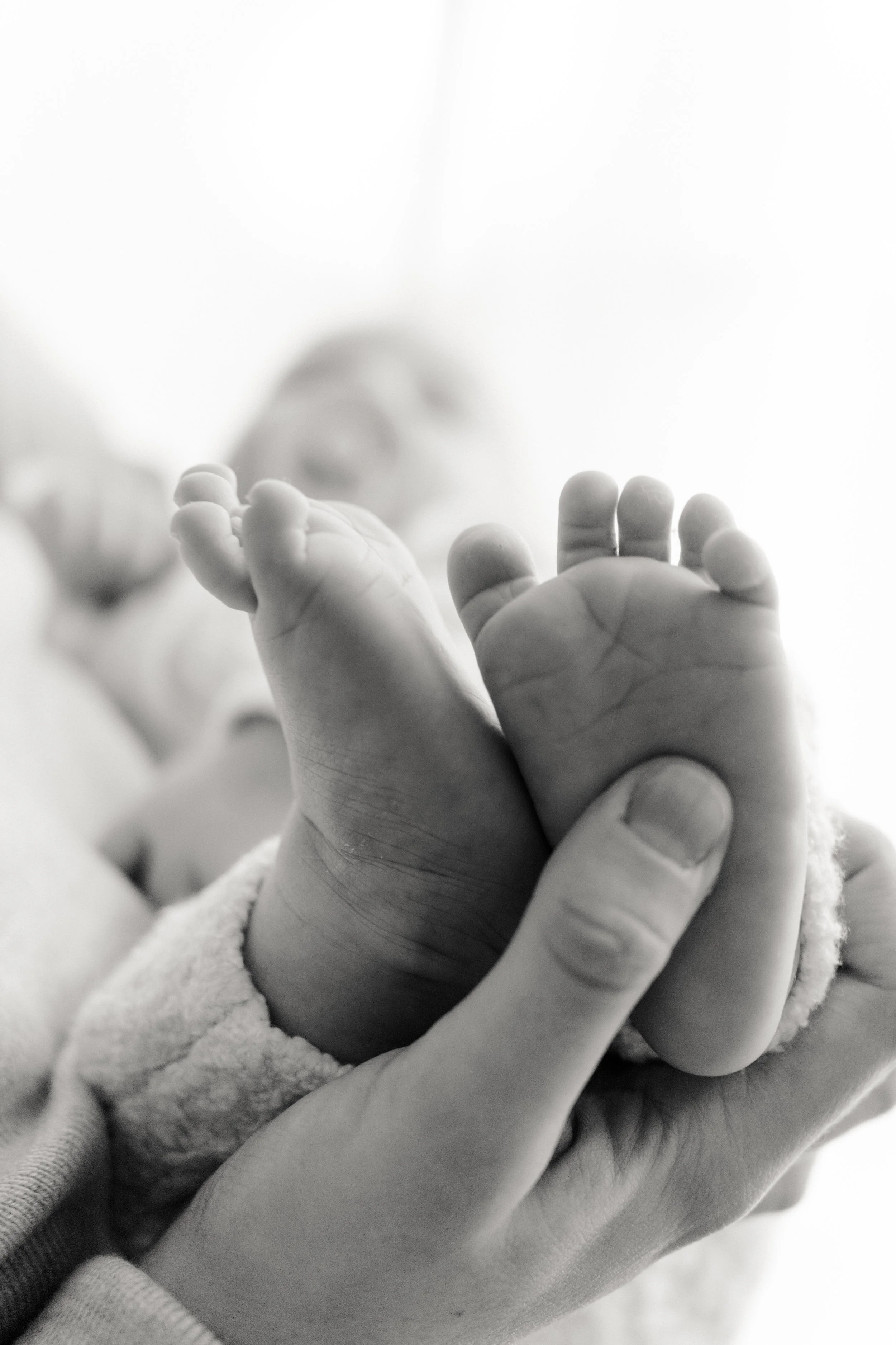 Welcome to the World_Nordic Tales Photography 2025-43.jpg