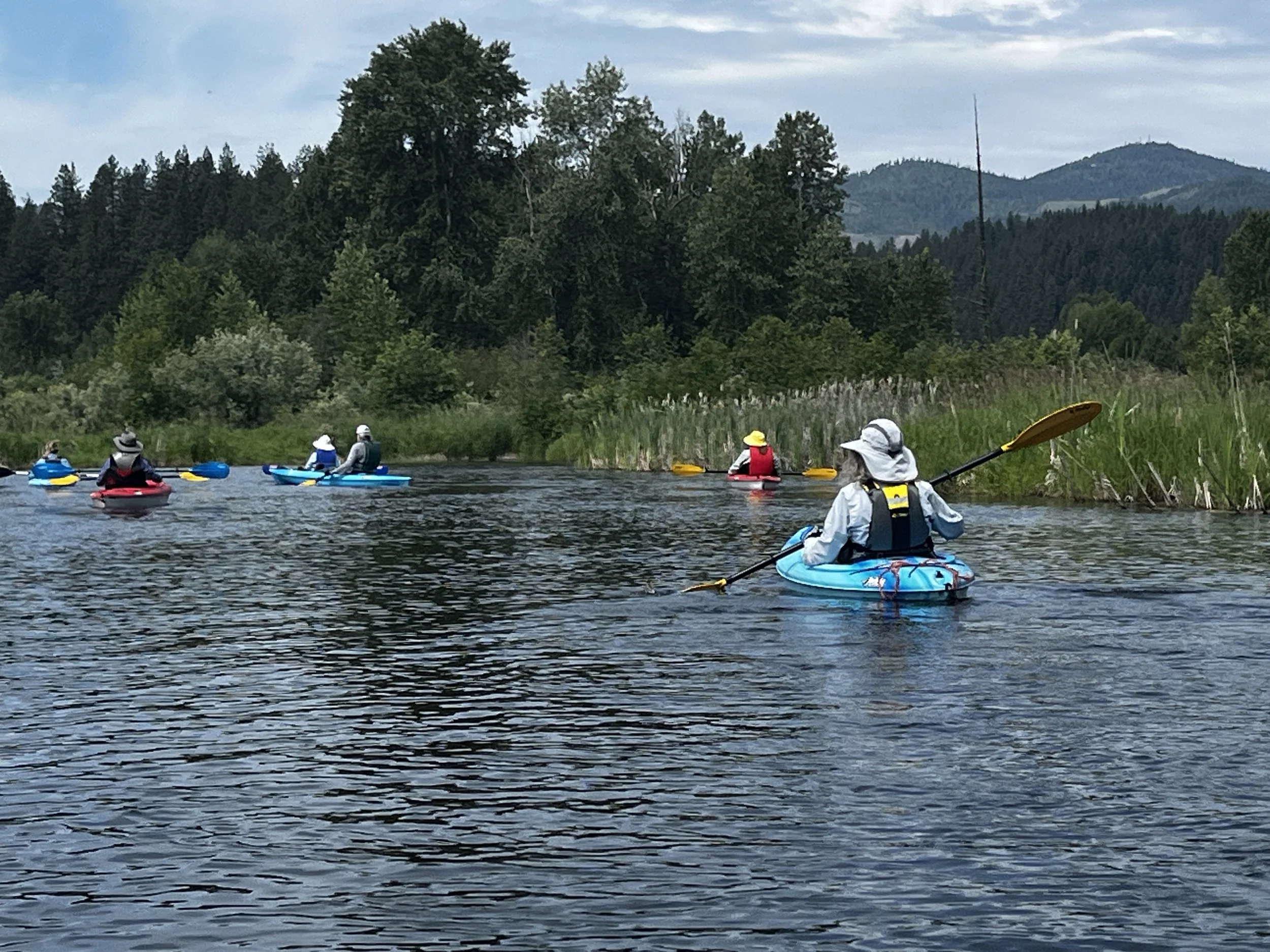 Kayaking Field Trip Report