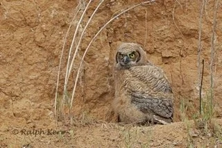 Walla Walla, WA Field Trip Report