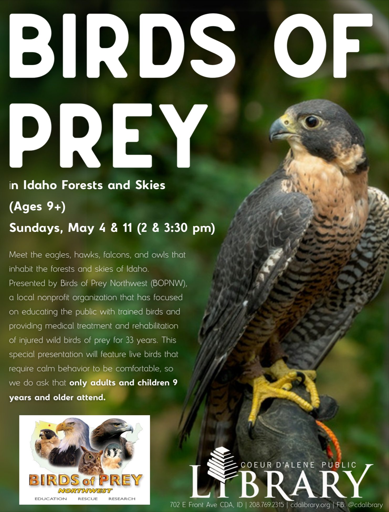 Birds of Prey Northwest Presentation