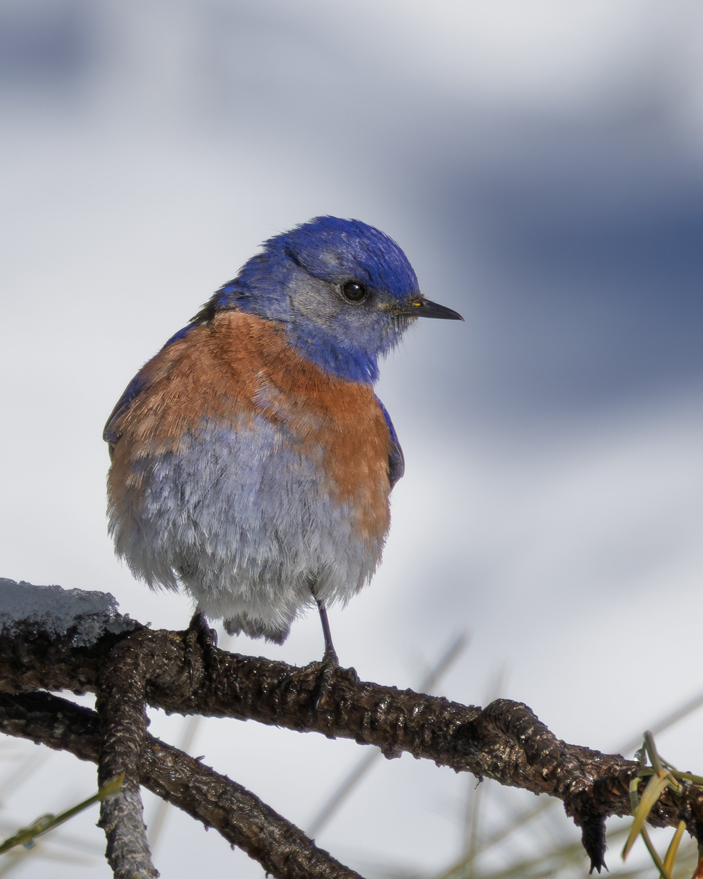 Turnbull NWR Field Trip
