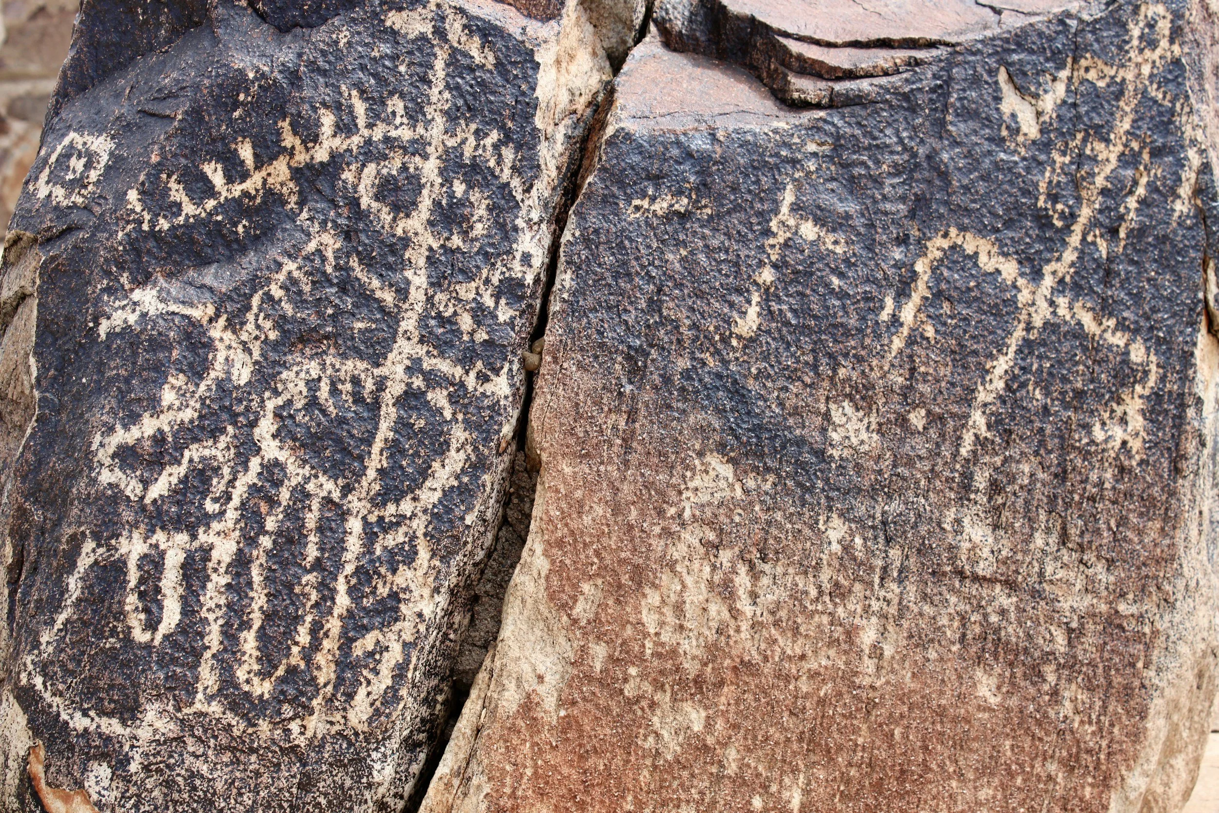 Little Spokane River Painted Rocks Area Field Trip Report
