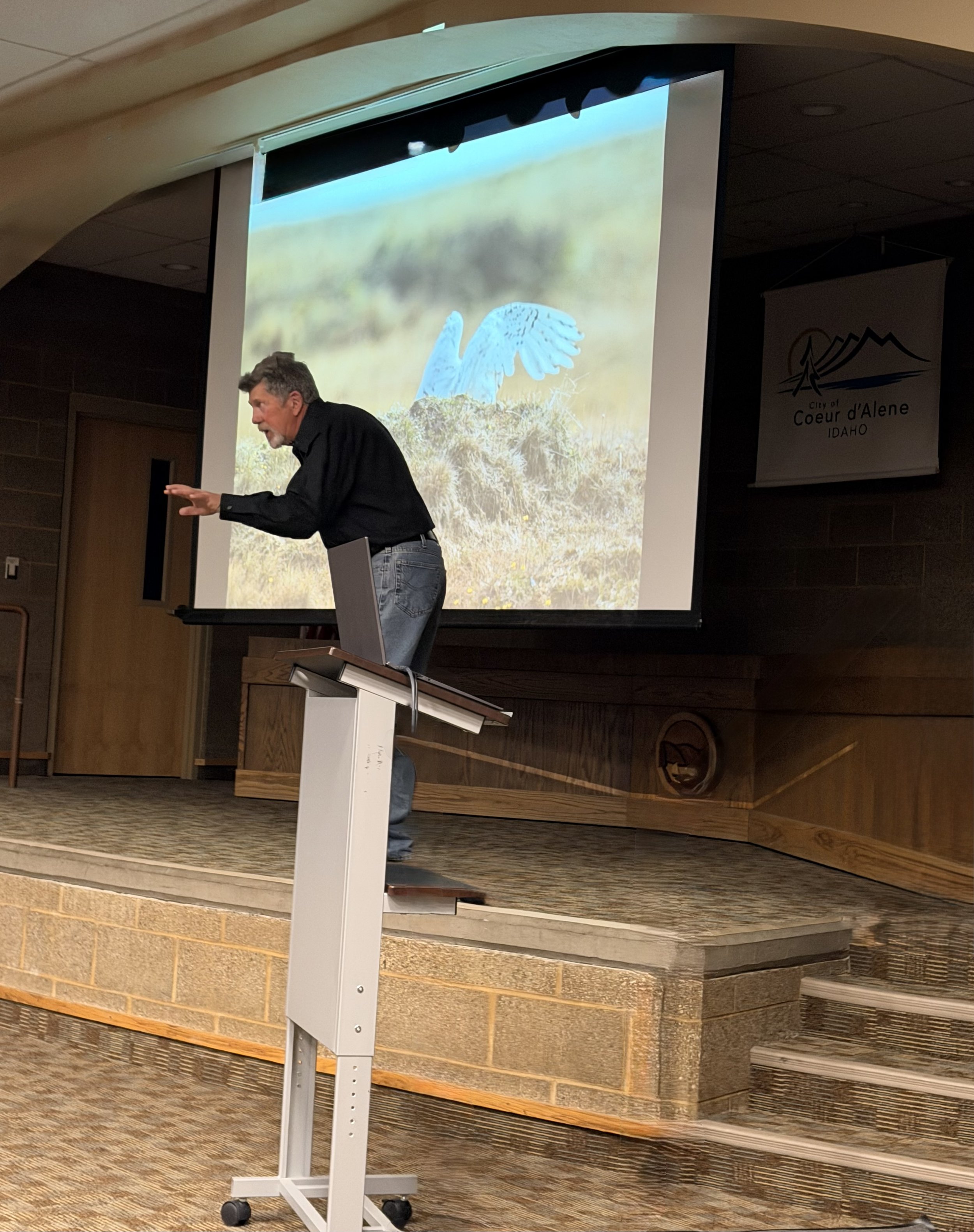 An Evening with Denver Holt: The Remarkable Story of Snowy Owls and Lemmings