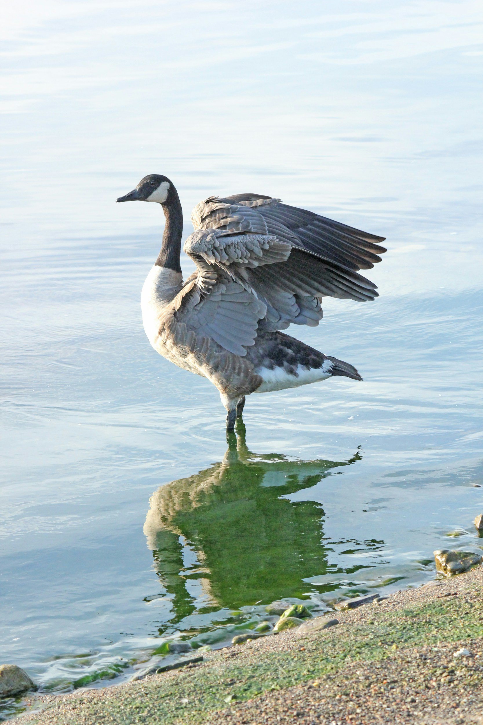 Round Lake State Park