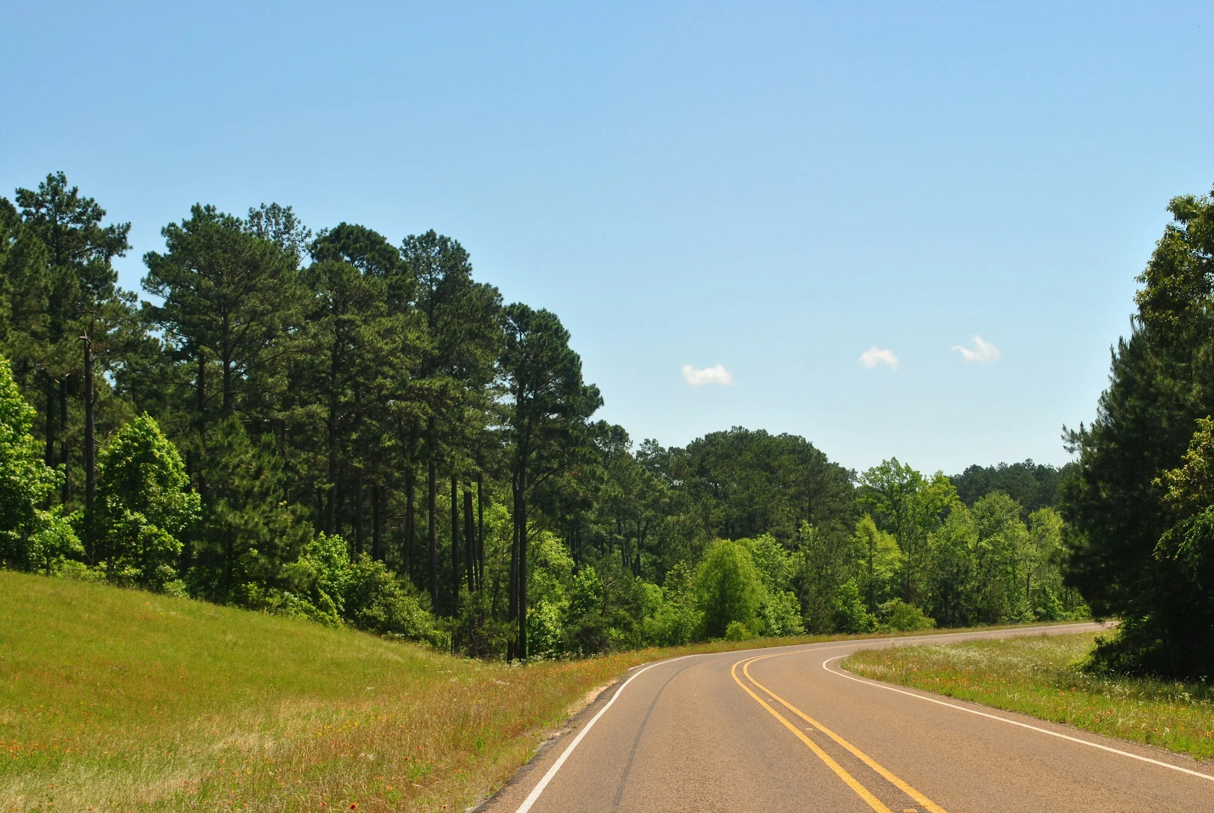 Highway Clean-up Spring 2027