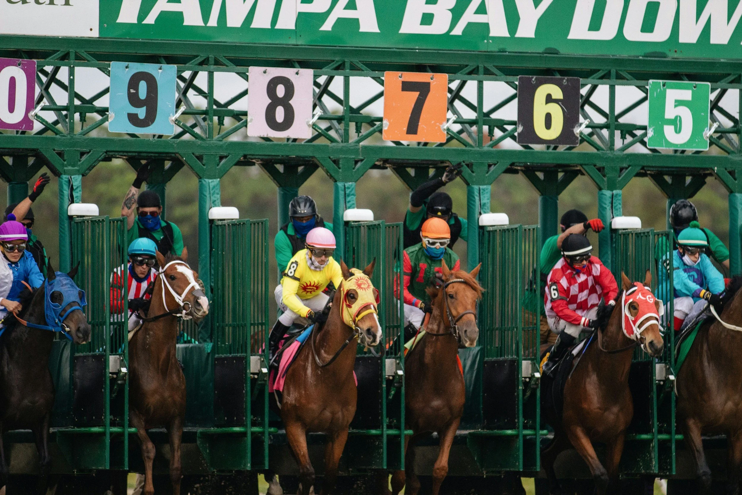 Annual Horseraces