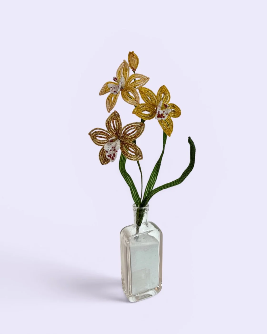 Photoroom_20260710_194000.png