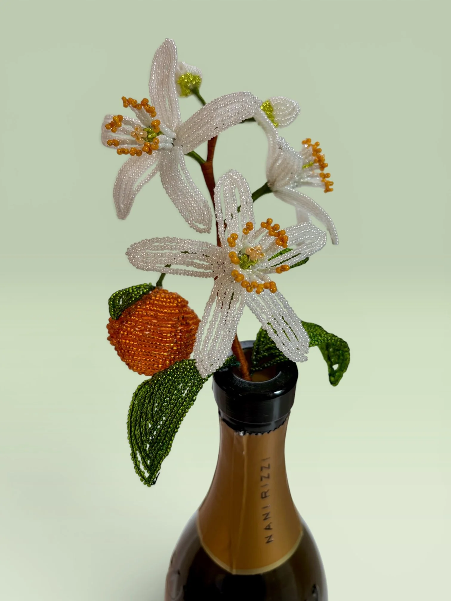 Photoroom_20260710_210106.JPG