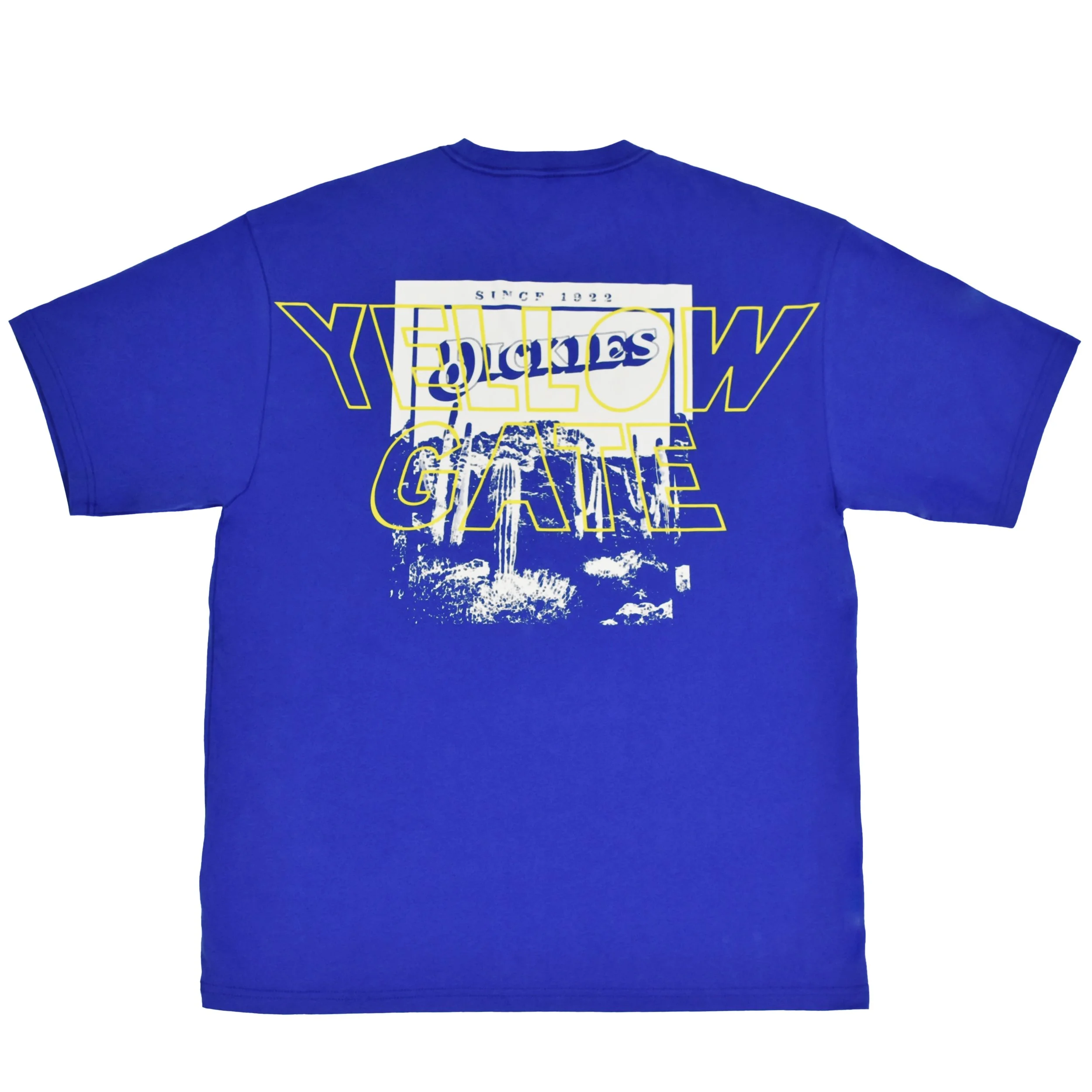 dickes shirt back.jpg