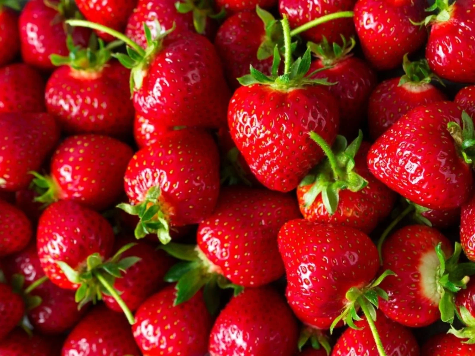 Learn to Preserve: Berries
