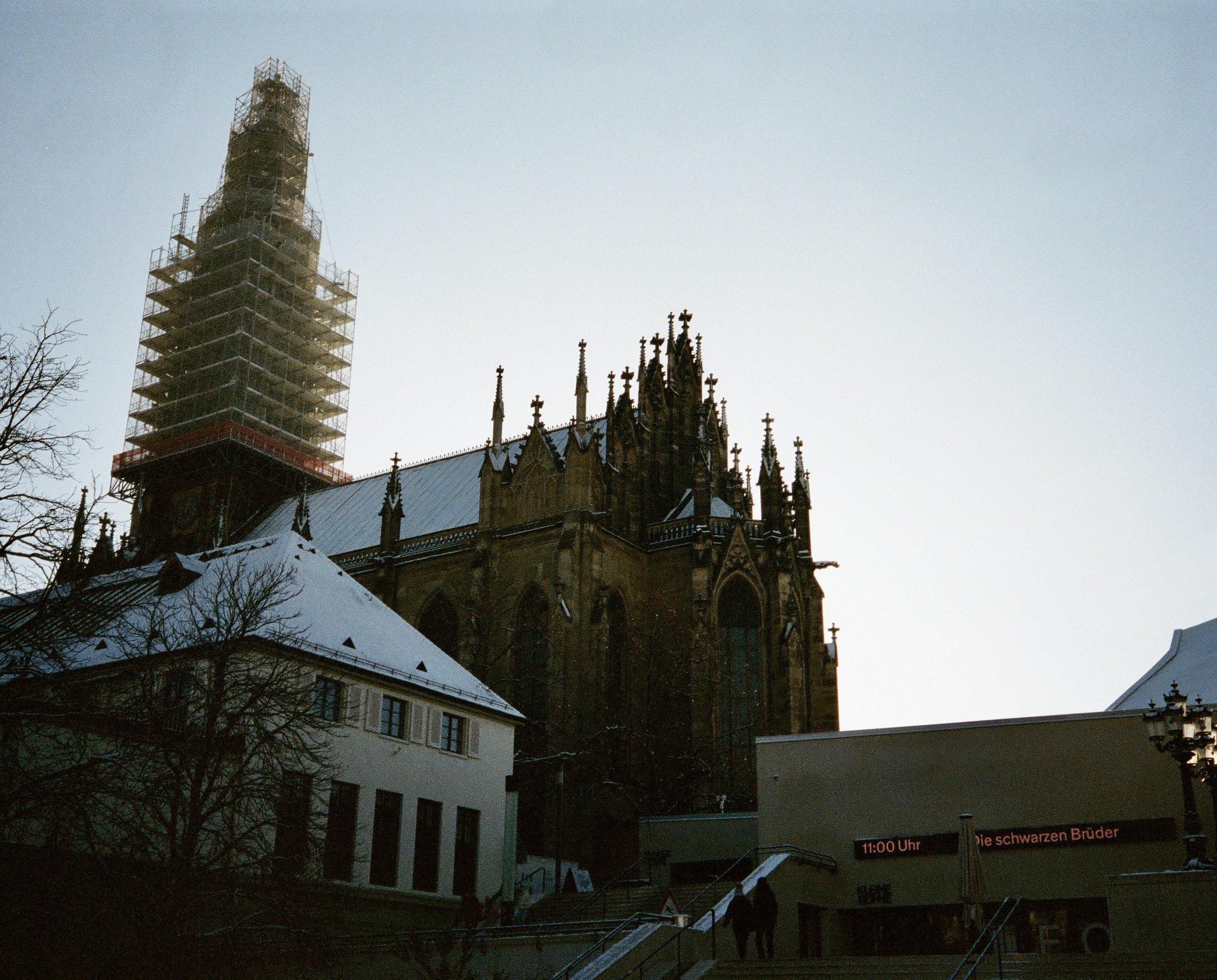 IMG_7319.jpg