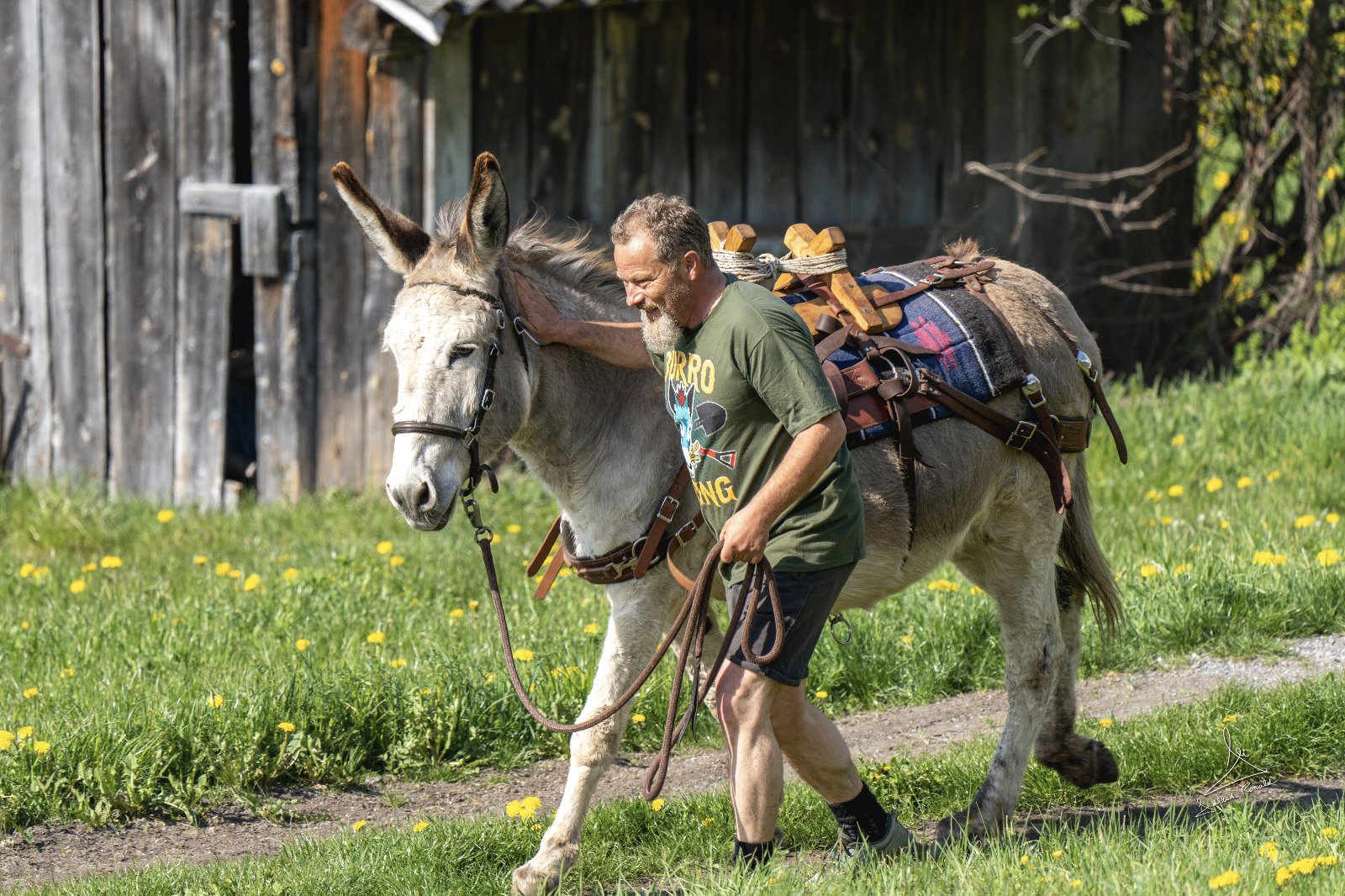 Bergesel Donkathlon Training