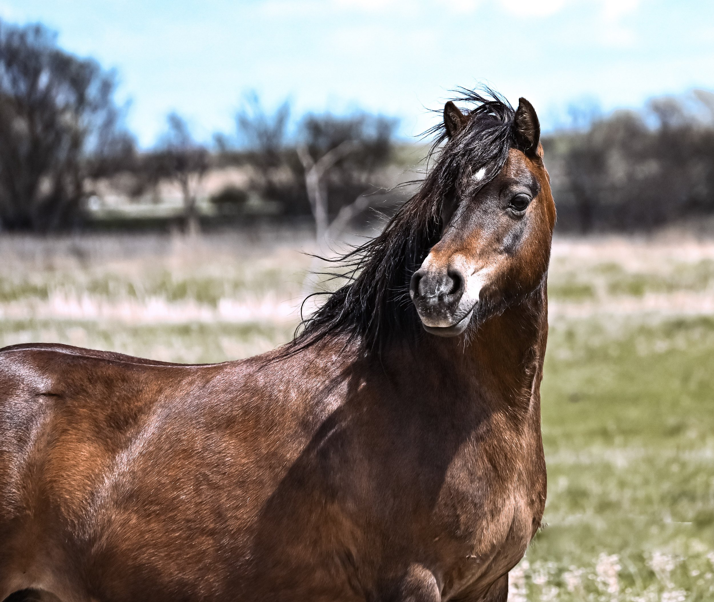 DSC_5516.jpg