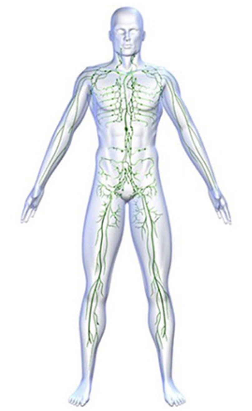 When Your Body Feels Heavy or Congested...