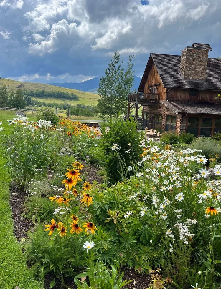 montana-wildflowers-grizzly-creek-ranch-retreat.webp