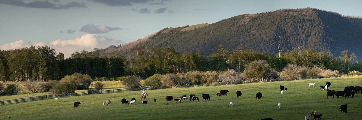 grizzly-creek-005.webp