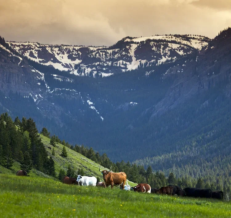 grizzly-creek-080.webp