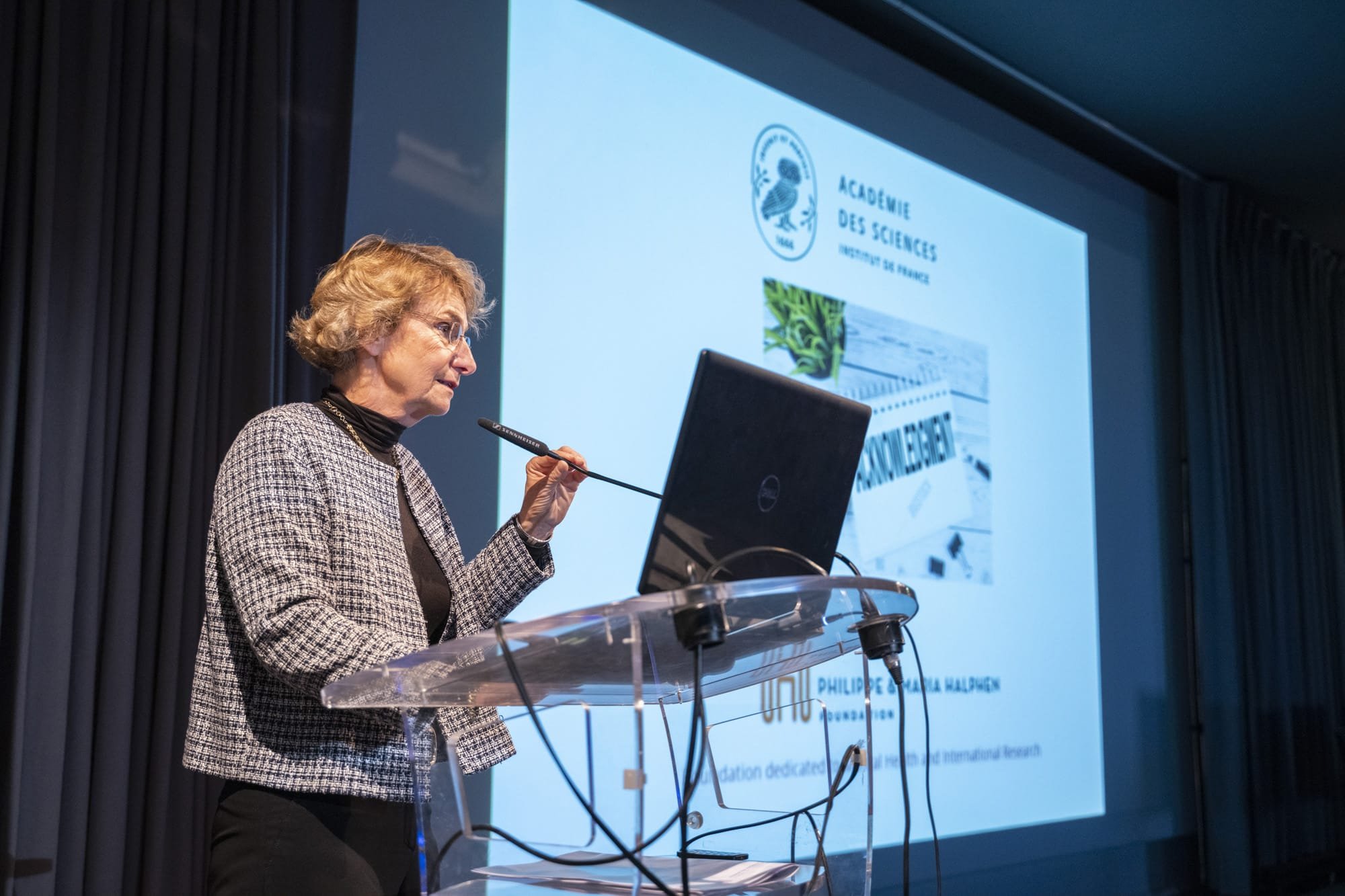 SDollfus presenting_wide_(2048).jpg