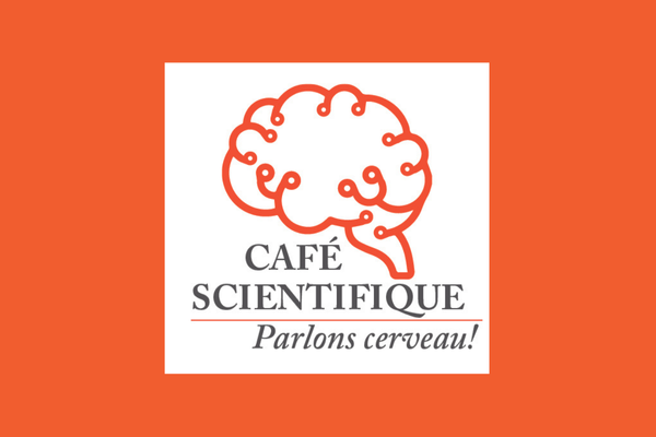 La psychothérapie - Quels effets sur nos émotions et le cerveau ?