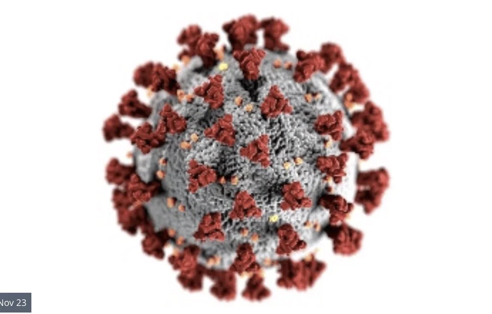 COVID-19 and mental health: How onepandemic can reveal another