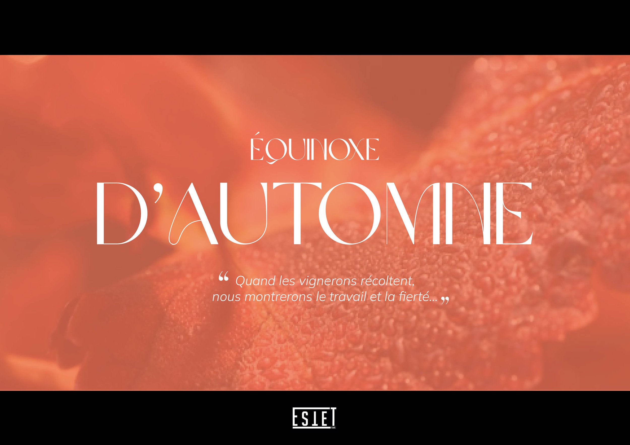 Projet Chapoutier_PRESENTATION_02222322.jpg